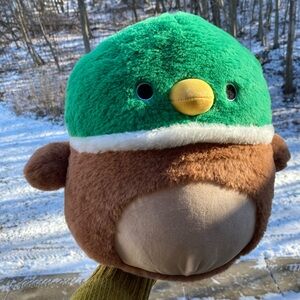 Squishmallows Fuzzamallows Avery Mallard Duck 12" Green Brown Fluffy Duck Plush
